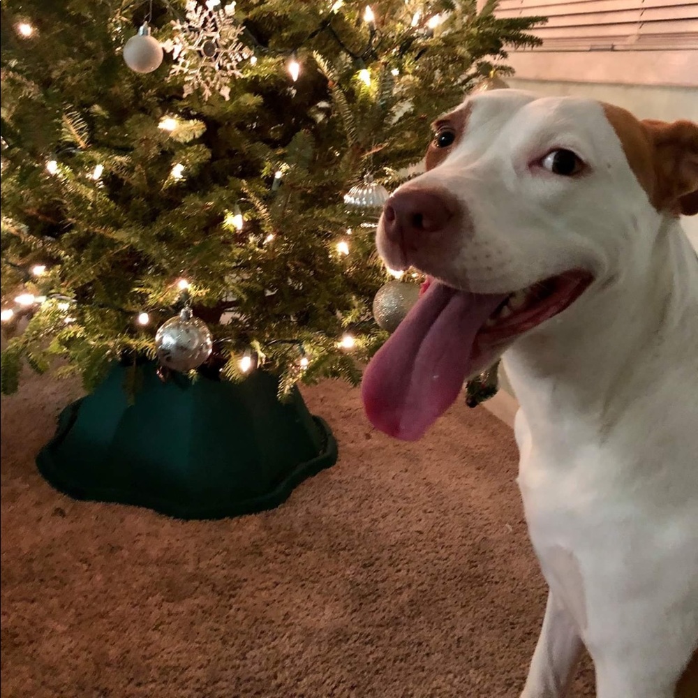 Meet your Poshers, Peaches and Peggy